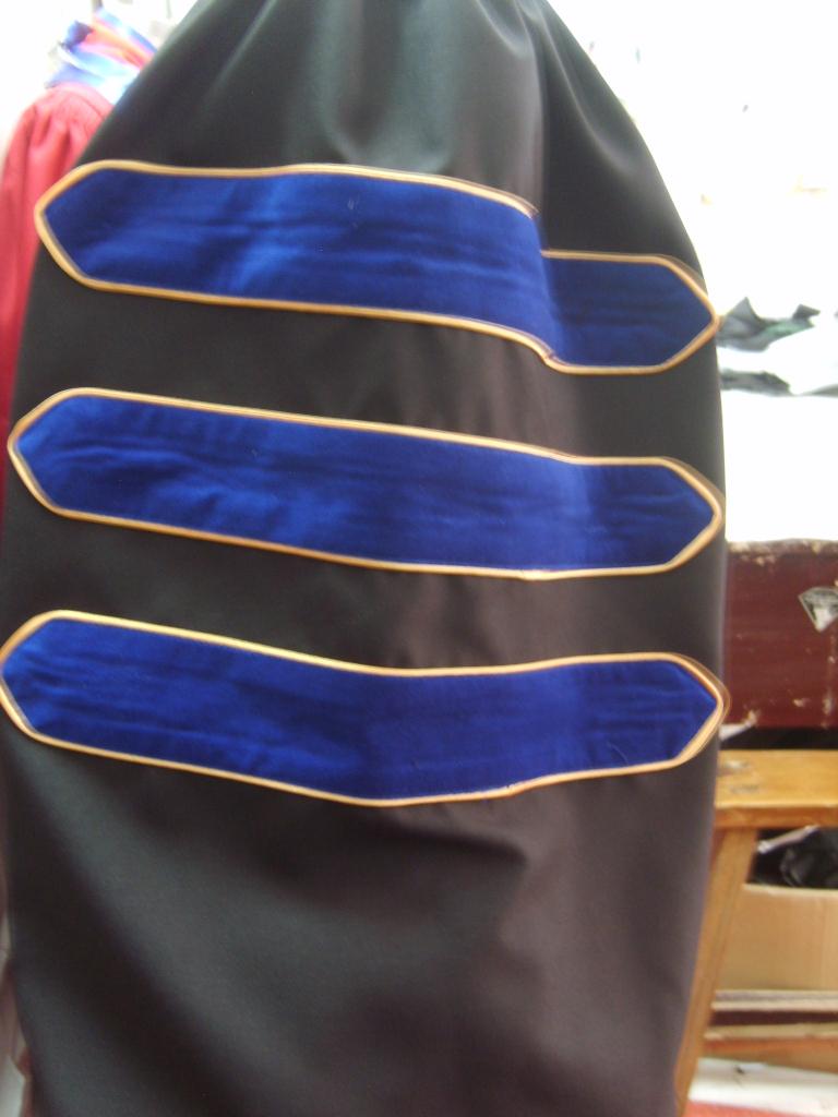 Gown Sleeve